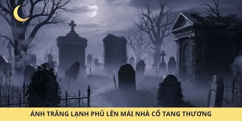 Ánh trăng lạnh phủ lên mái nhà cổ tang thương