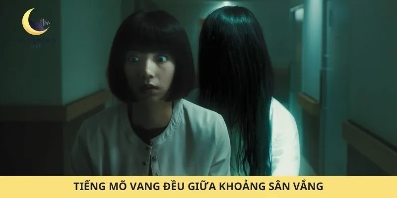 Tiếng mõ vang đều giữa khoảng sân vắng