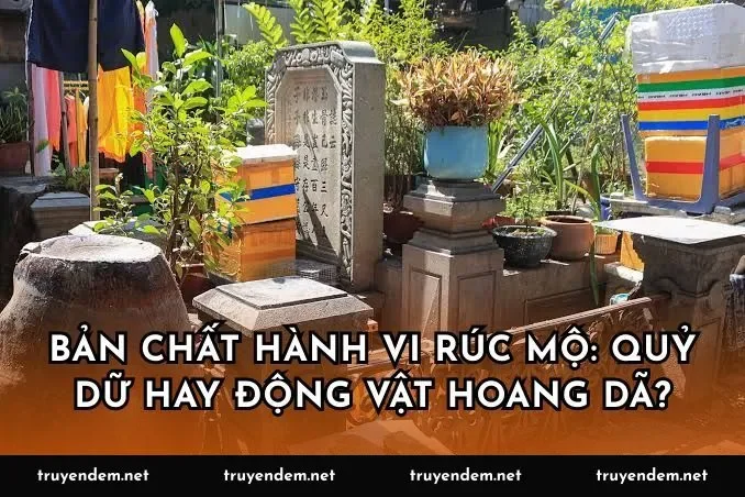 Bản chất hành vi rúc mộ: Quỷ dữ hay động vật hoang dã?