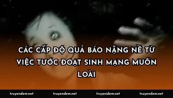 Các cấp độ quả báo nặng nề từ việc tước đoạt sinh mạng muôn loài