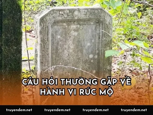 Câu hỏi thường gặp về hành vi rúc mộ