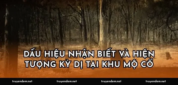 Dấu hiệu nhận biết và hiện tượng kỳ dị tại khu mộ cổ