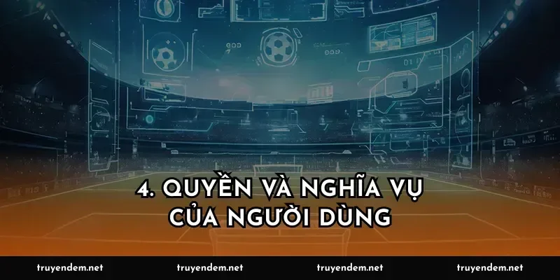 4. Quyền và nghĩa vụ của người dùng