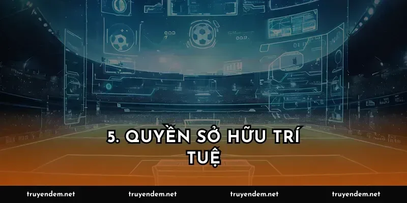 5. Quyền sở hữu trí tuệ