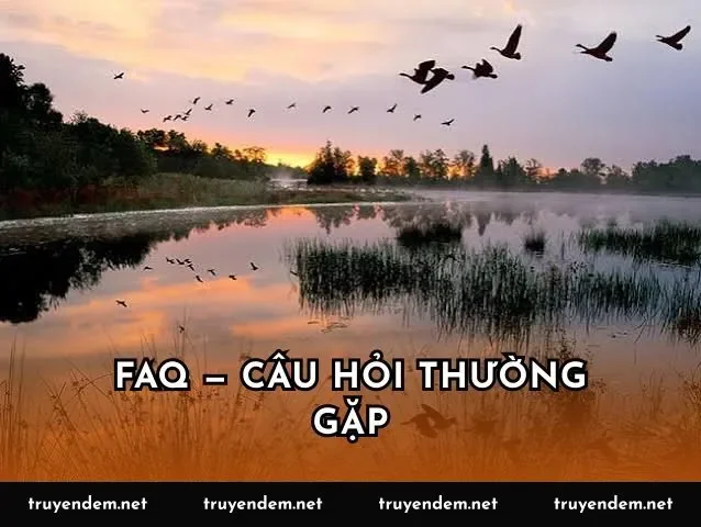 FAQ — Câu hỏi thường gặp
