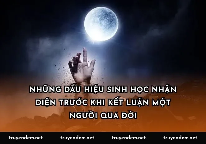 Những dấu hiệu sinh học nhận diện trước khi kết luận một người qua đời