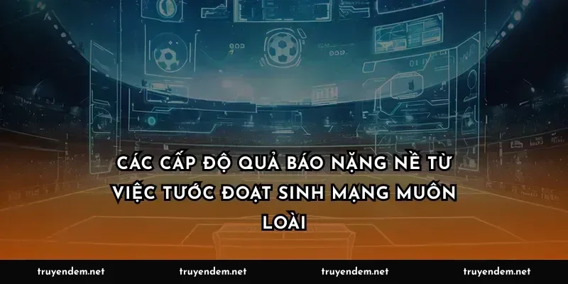 Các cấp độ quả báo nặng nề từ việc tước đoạt sinh mạng muôn loài