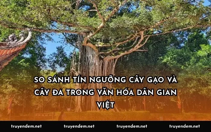 So sánh tín ngưỡng cây gạo và cây đa trong văn hóa dân gian Việt