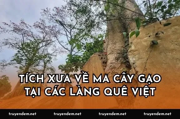 Tích xưa về ma cây gạo tại các làng quê Việt
